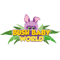 Bush Baby World
